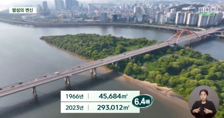 사람 발길이 끊긴 한강 밤섬 6.4배나 더 커졌다 | 인스티즈