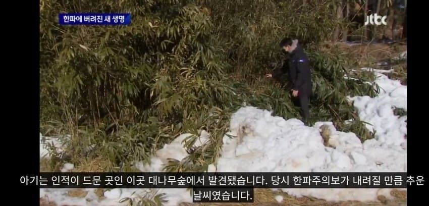 한파에 버려진 갓난아기 | 인스티즈