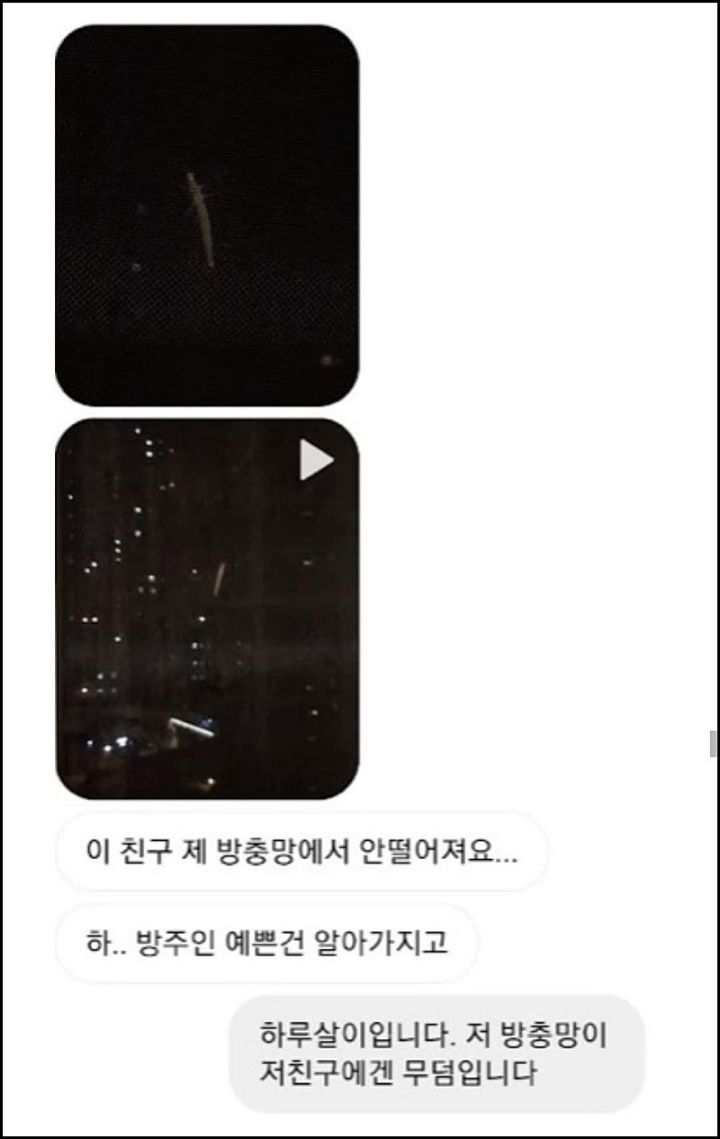 모르는게 없는 유튜버ㅋㅋㅋㅋㅋㅋ.jpg | 인스티즈
