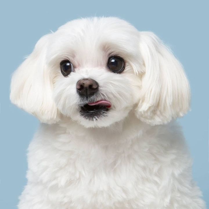 명예 택배사원 경태 프로필사진.jpg | 인스티즈