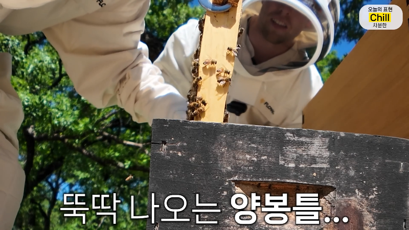 양봉 시작한 올리버쌤 근황.jpg | 인스티즈