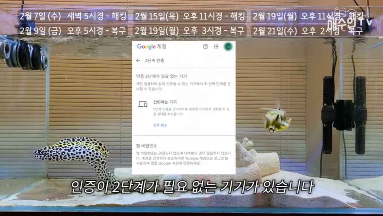 유튜브 계정이 3번이나 해킹 당한 이유 | 인스티즈