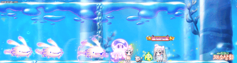 메이플스토리 데미지 스킨 모음 | 인스티즈