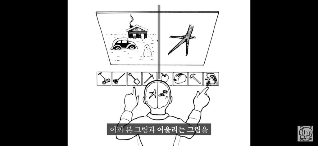 (스압)분리 뇌 실험 | 인스티즈