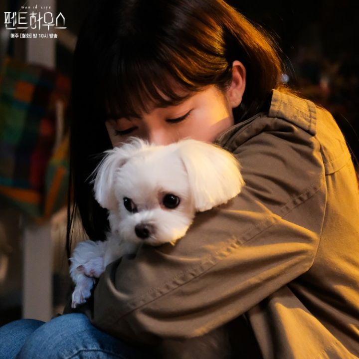 펜트하우스 설탕이.jpgif | 인스티즈