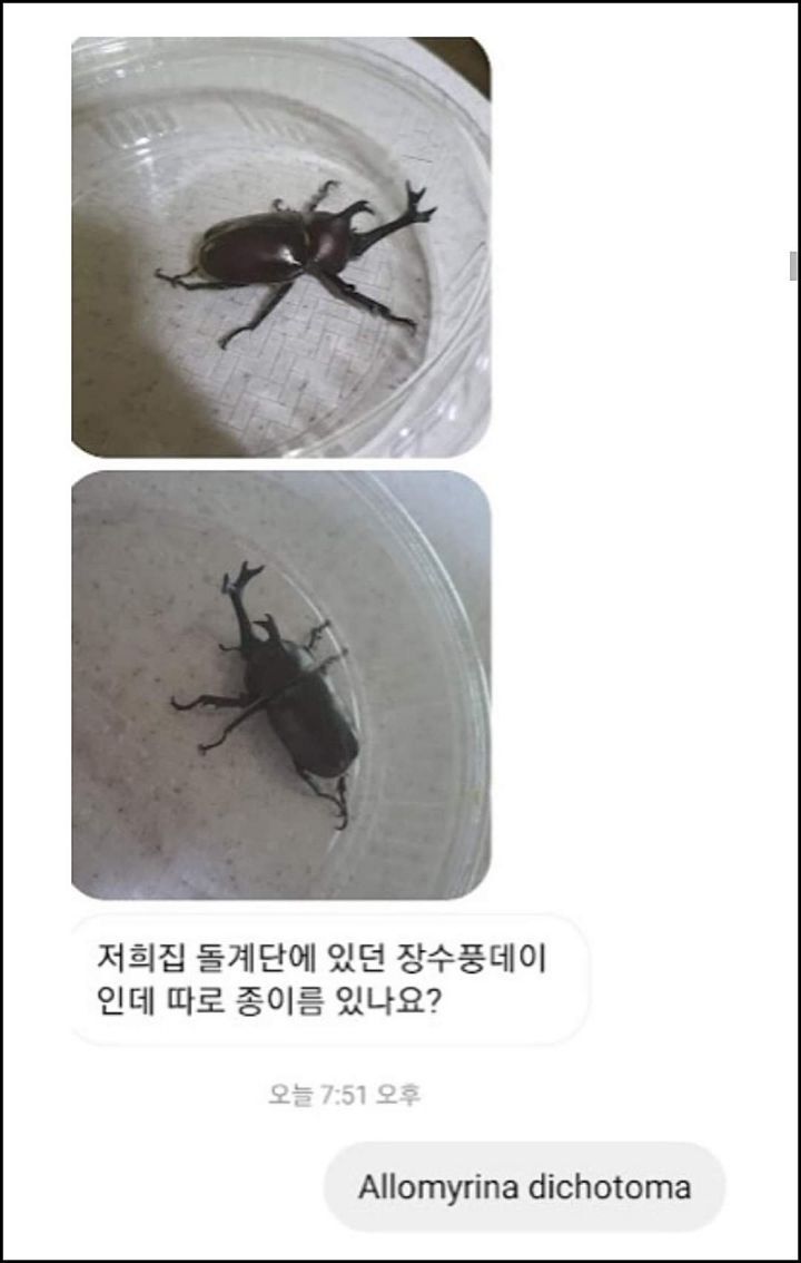 모르는게 없는 유튜버ㅋㅋㅋㅋㅋㅋ.jpg | 인스티즈