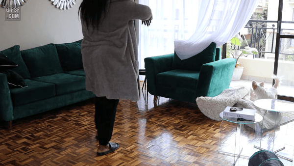 주인도와주는 멍뭉이 | 인스티즈