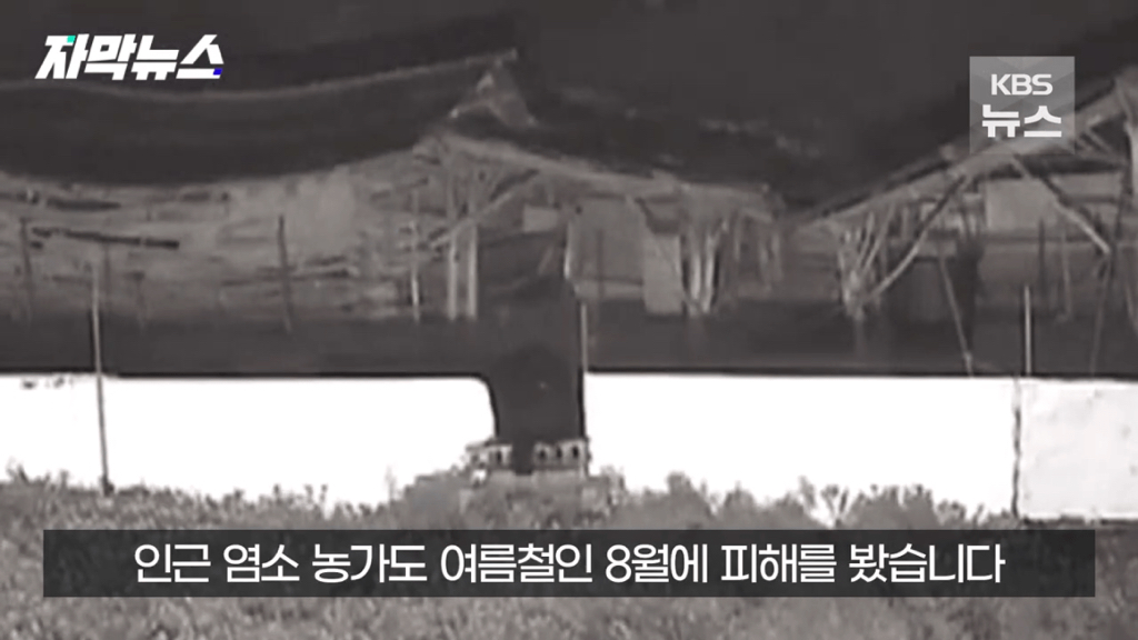 스압)지리산 반달가슴곰, 양봉 농가 꿀 빼먹었다 | 인스티즈