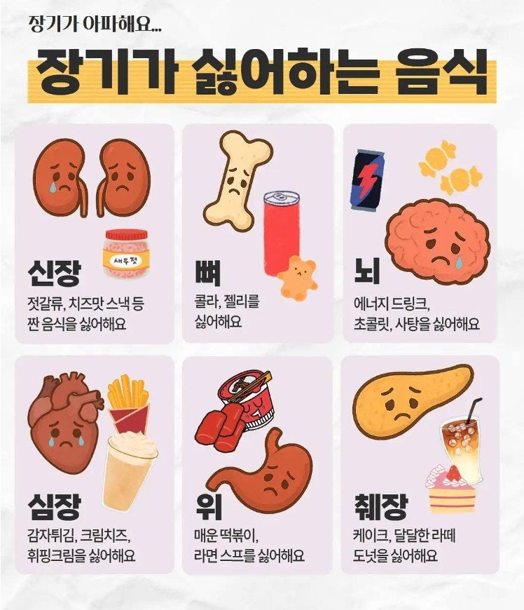 우리의 몸이 싫어하는 음식들 | 인스티즈