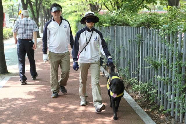 🐶 안내견 공부중입니다! | 인스티즈
