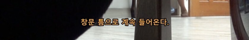 모기 때문에 고생하는 여동생 | 인스티즈