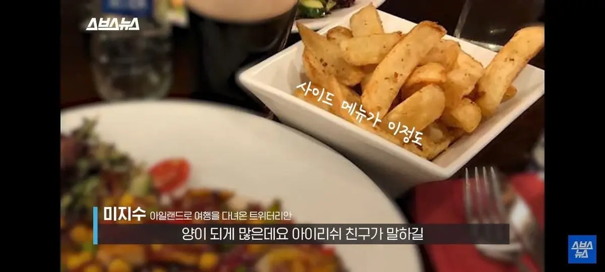 아일랜드 음식양이 많은 이유 | 인스티즈