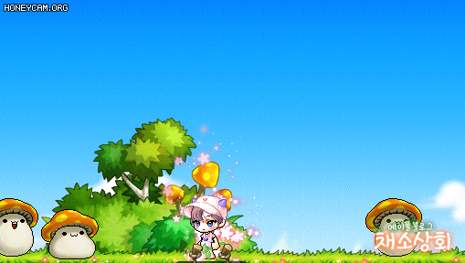 메이플스토리 데미지 스킨 모음 | 인스티즈