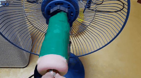 오나홀에 진심인 디시인 | 인스티즈