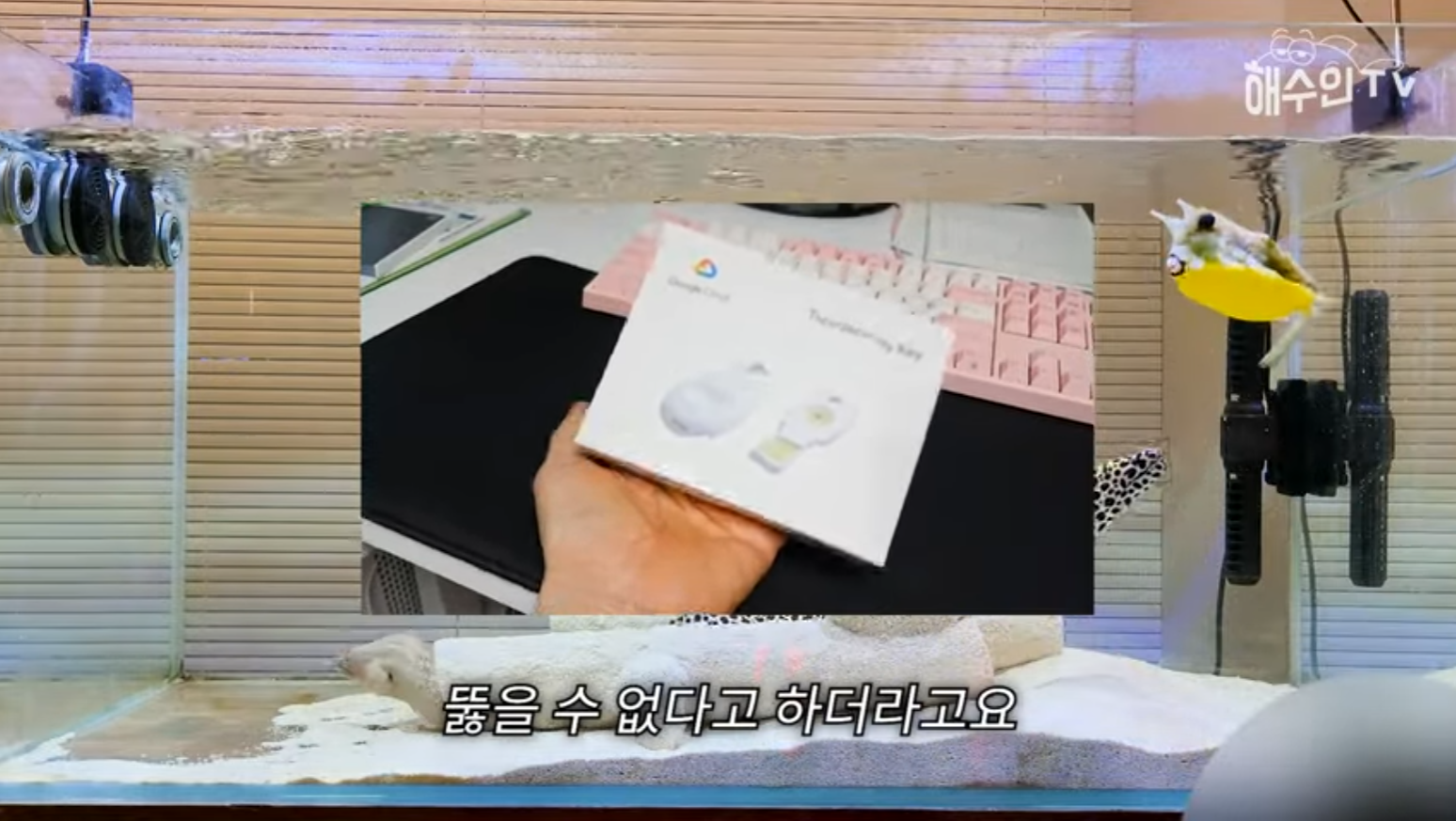 유튜브 계정이 3번이나 해킹 당한 이유 | 인스티즈