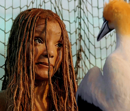 인어공주 애니판과 실사판 | 인스티즈