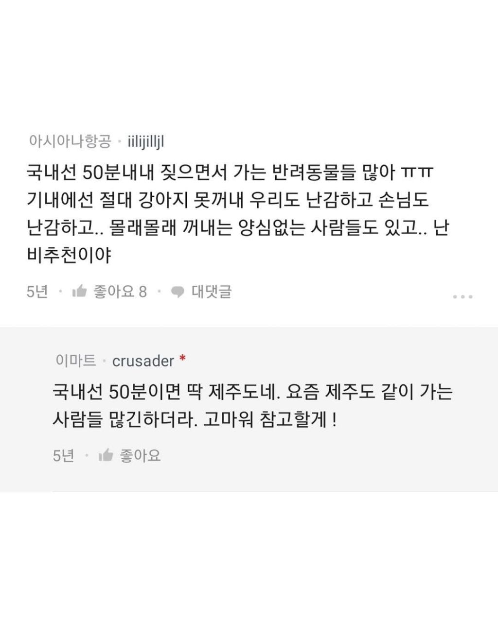 반려동물과 해외여행 욕심이다?아니다? | 인스티즈