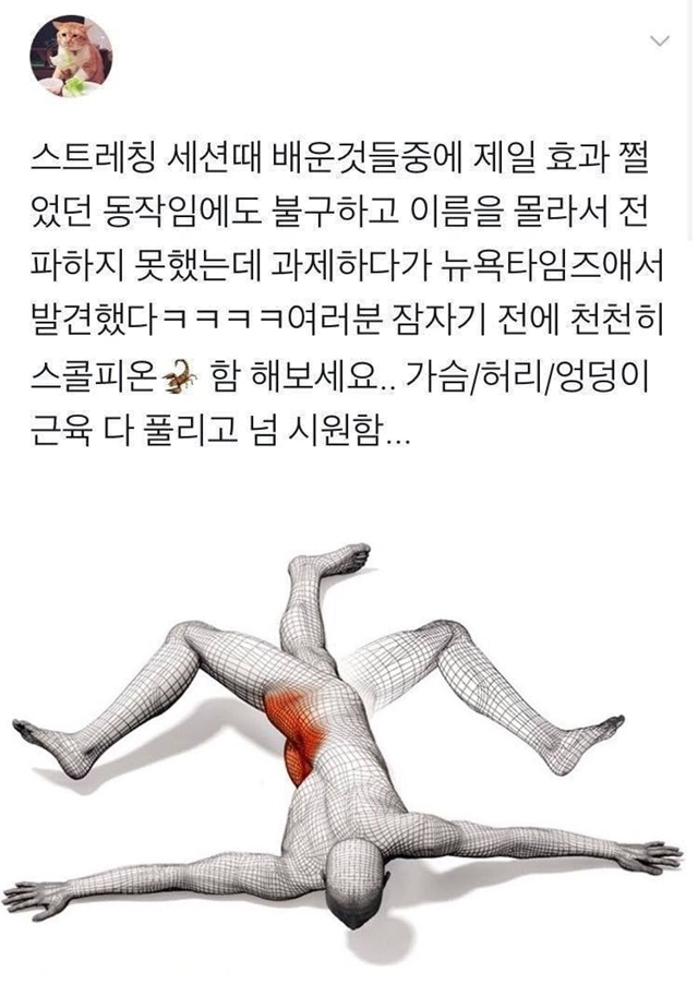 근육 푸는데 좋은 자세 | 인스티즈