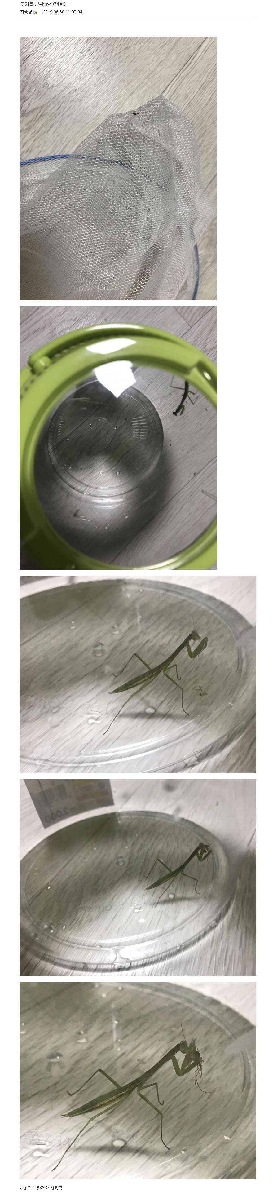 8d23c25be57d49d3930bf727ed8304c4da18ff78