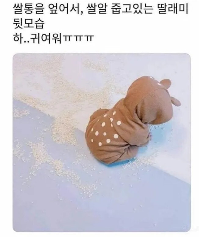 애가 집에서 사고쳐도 웃음나는 이유 | 인스티즈