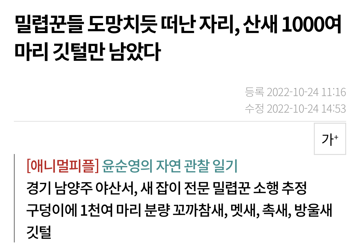 최근 남양주에서 참새고기로 1000여마리 산새들을 밀렵하는 현장 발견. 밀렵과 남획, 농약 살포, 서식지교란으로 산새들 점점 사라져 | 인스티즈