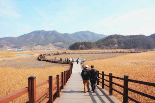 2000년대 들어서 관광업이 급격히 발전한 두 도시 | 인스티즈