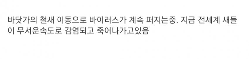 현재 전 세계로 퍼지고 있는 조류 독감.jpg | 인스티즈