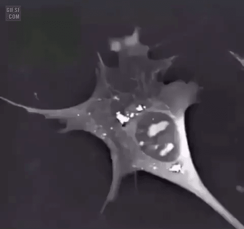 죽어가는 뉴런 | 인스티즈