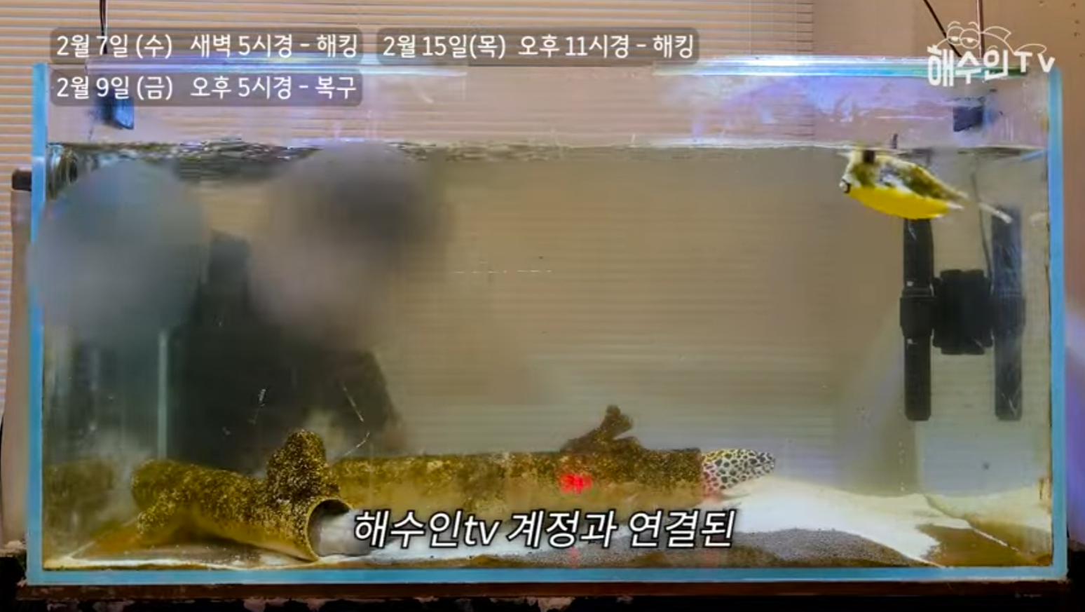 유튜브 계정이 3번이나 해킹 당한 이유 | 인스티즈