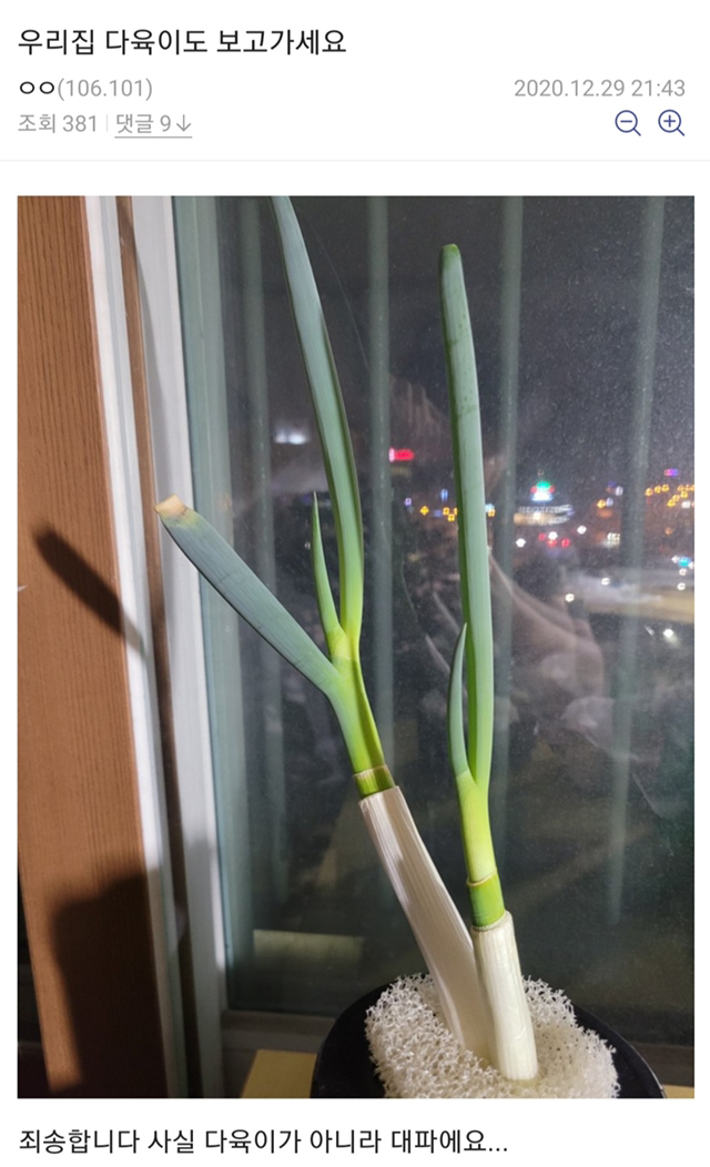 8eb5a4c526b32ae54bb98a26eb0ed00cf43d0b06