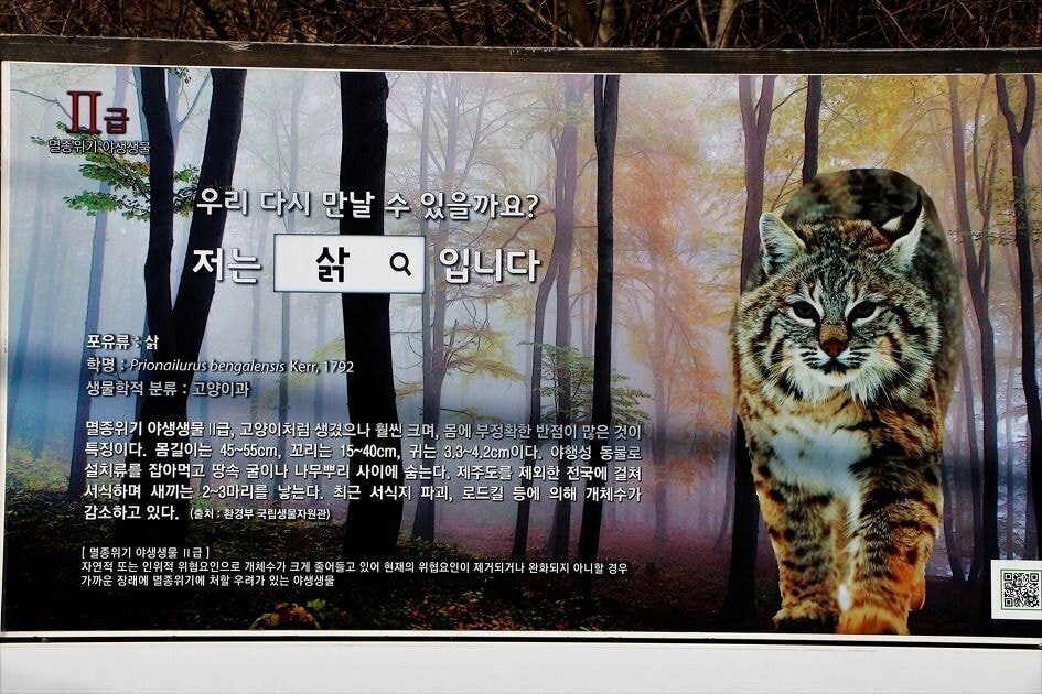 우리가 아는 그 칡 짤의 진짜 근황.jpg | 인스티즈