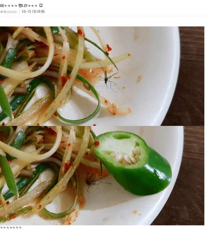 8f3a7dd92127a4a33a9e755036516d5b4b6fb47e