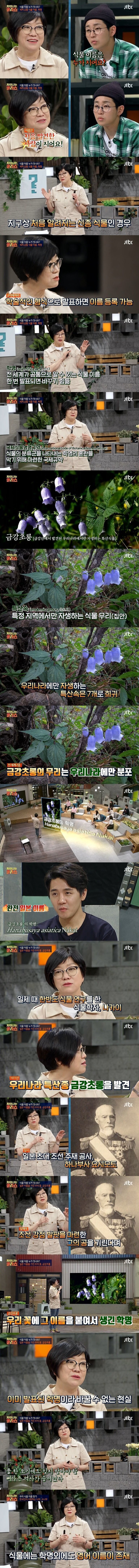 한국 식물의 영어 이름에 일본식 이름이 많은 이유.jpg | 인스티즈