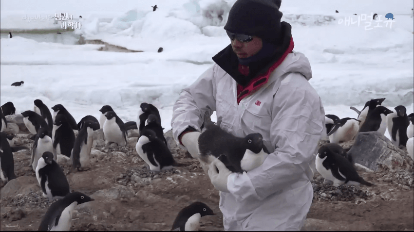 또 논란거리 만든 남극의 시프팀 | 인스티즈