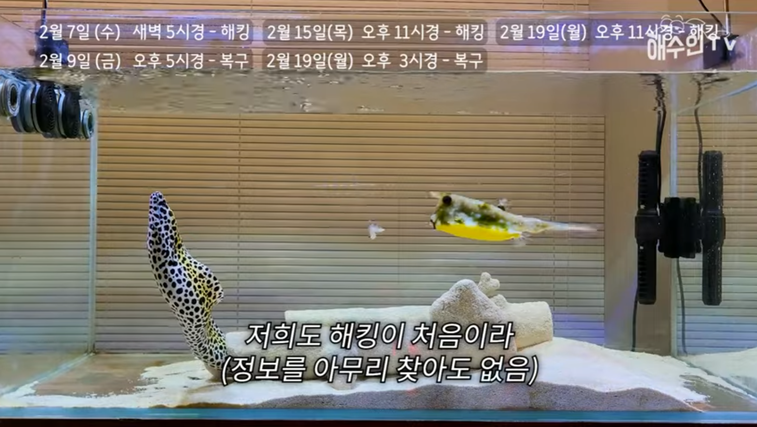 유튜브 계정이 3번이나 해킹 당한 이유 | 인스티즈