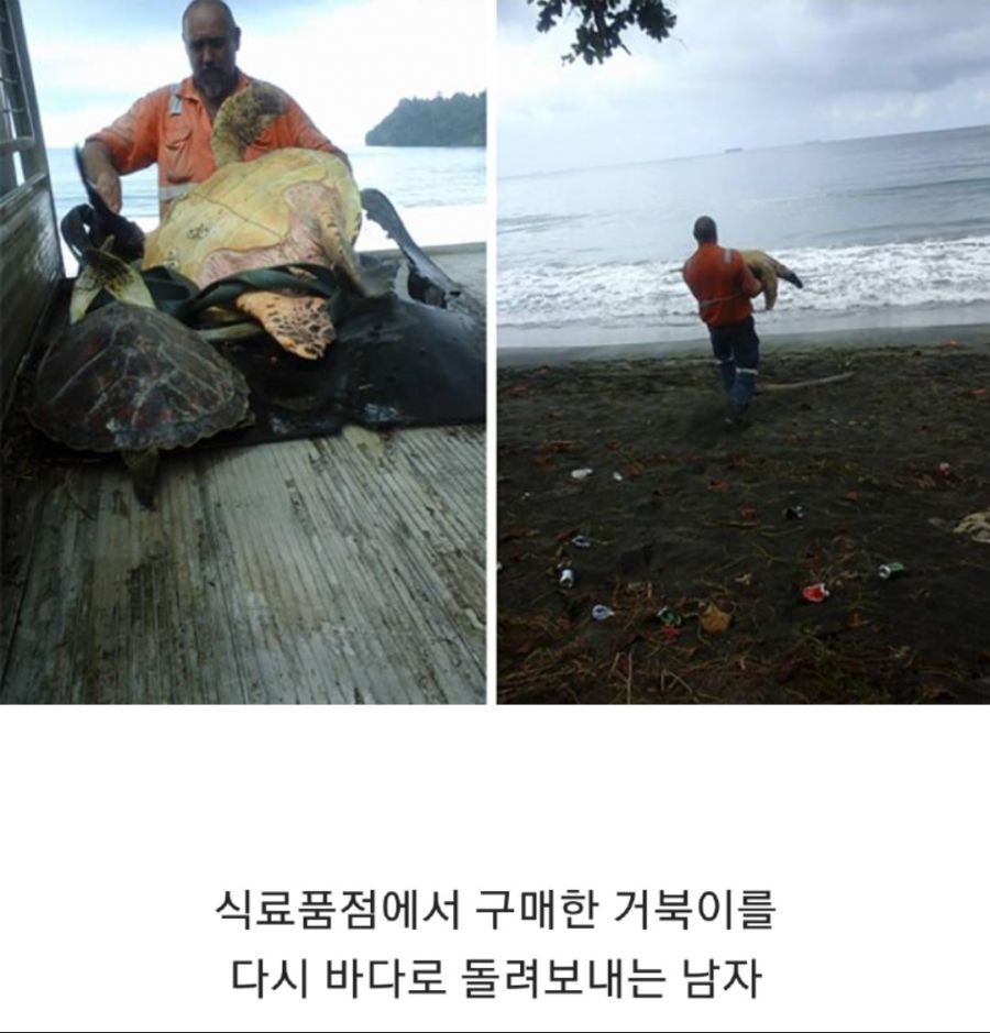 세상이 아직 따뜻하다는 증거.jpg | 인스티즈