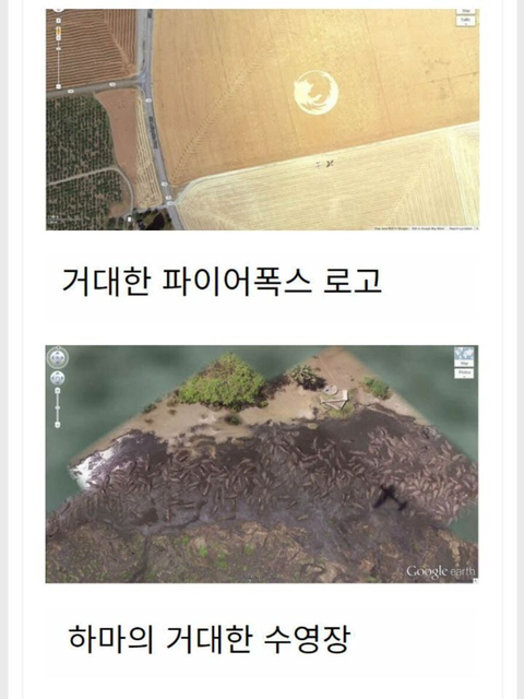 구글맵 오류인줄 알았는데 실존하는 장소 | 인스티즈
