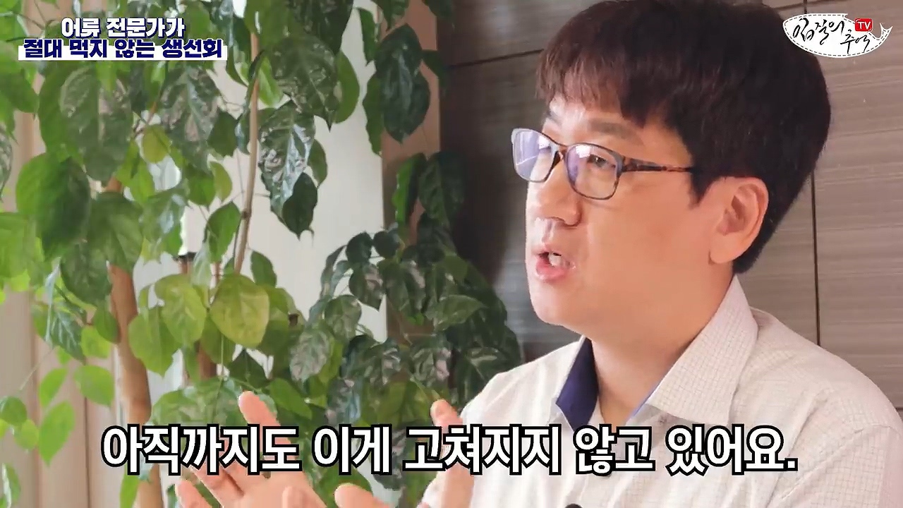어류 전문가가 꼽은 절대 먹지 않는 생선회 7개 | 인스티즈
