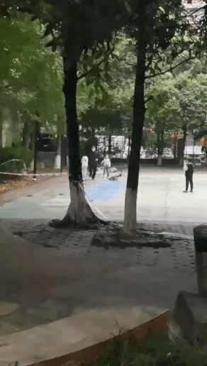 오은영 강형욱 한문철 모두 필요한 짤.gif | 인스티즈