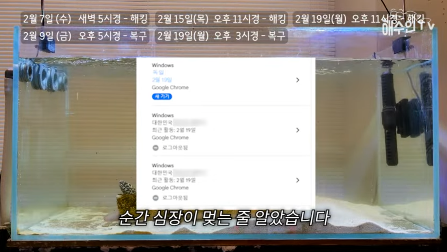 유튜브 계정이 3번이나 해킹 당한 이유 | 인스티즈