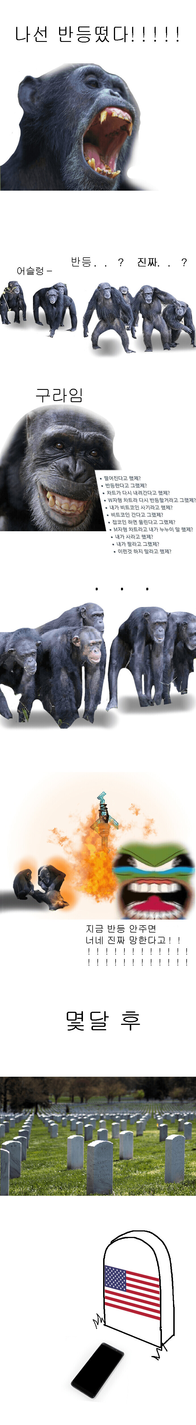 미국 주식 근황.jpg | 인스티즈