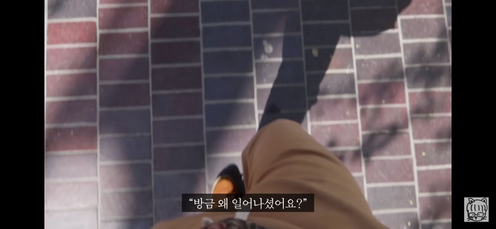 (스압)분리 뇌 실험 | 인스티즈