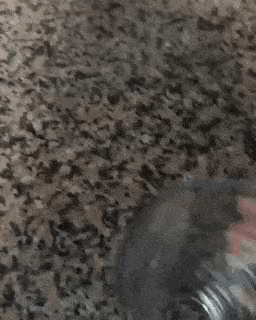 탄산 음료 컵에 따라 마실 때 특.gif | 인스티즈