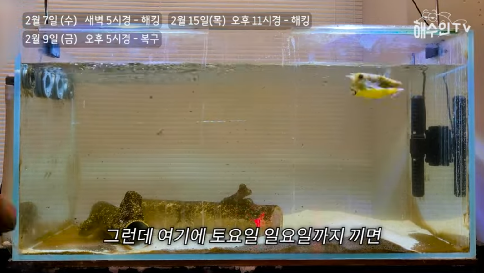 유튜브 계정이 3번이나 해킹 당한 이유 | 인스티즈