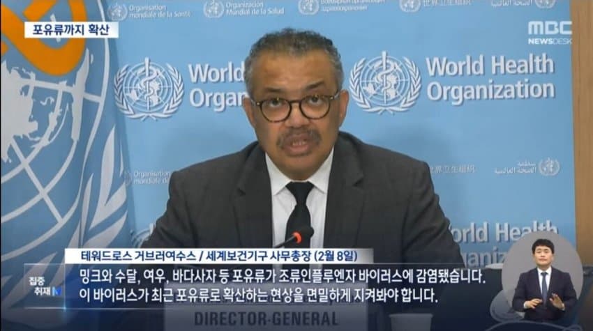 현재 전 세계로 퍼지고 있는 조류 독감.jpg | 인스티즈