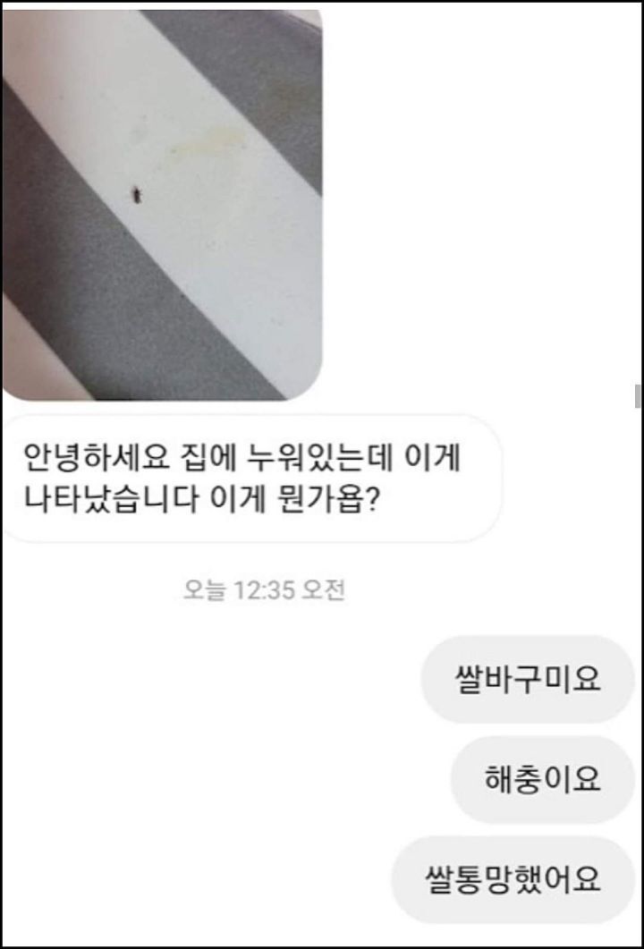 모르는게 없는 유튜버ㅋㅋㅋㅋㅋㅋ.jpg | 인스티즈