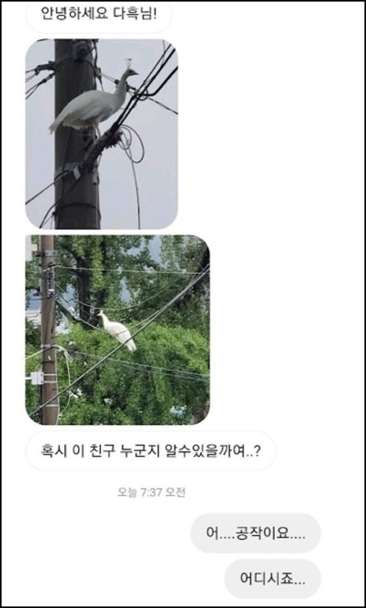 모르는게 없는 유튜버ㅋㅋㅋㅋㅋㅋ.jpg | 인스티즈