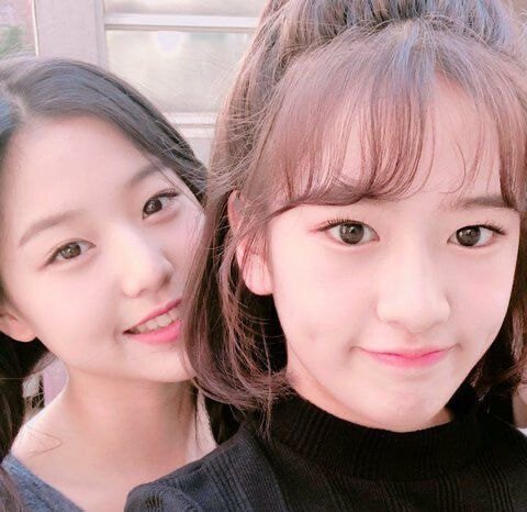 아이브 안녕즈 안유진 장원영.gif | 인스티즈