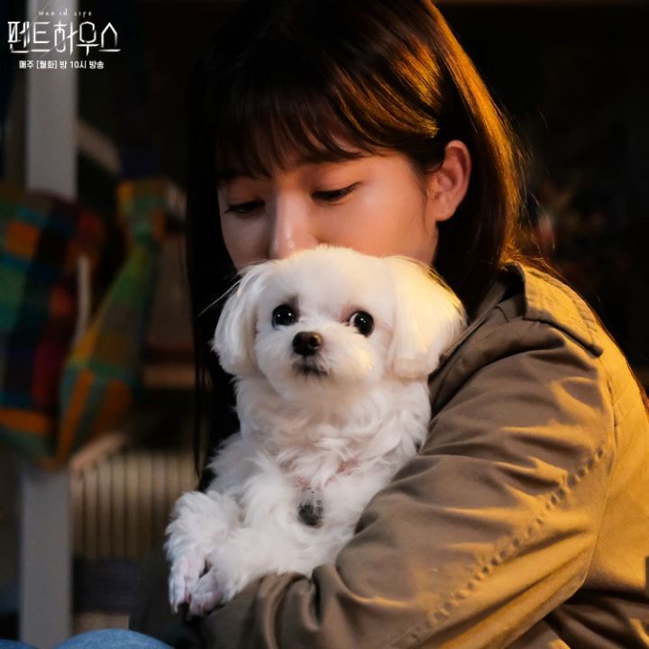 펜트하우스 설탕이.jpgif | 인스티즈