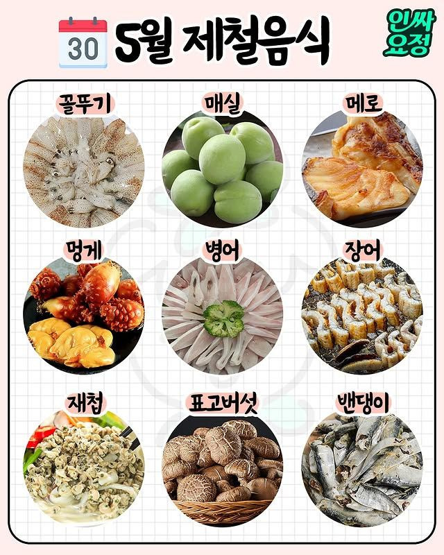 월별 제철 음식 | 인스티즈